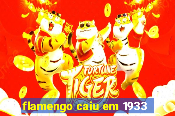 flamengo caiu em 1933